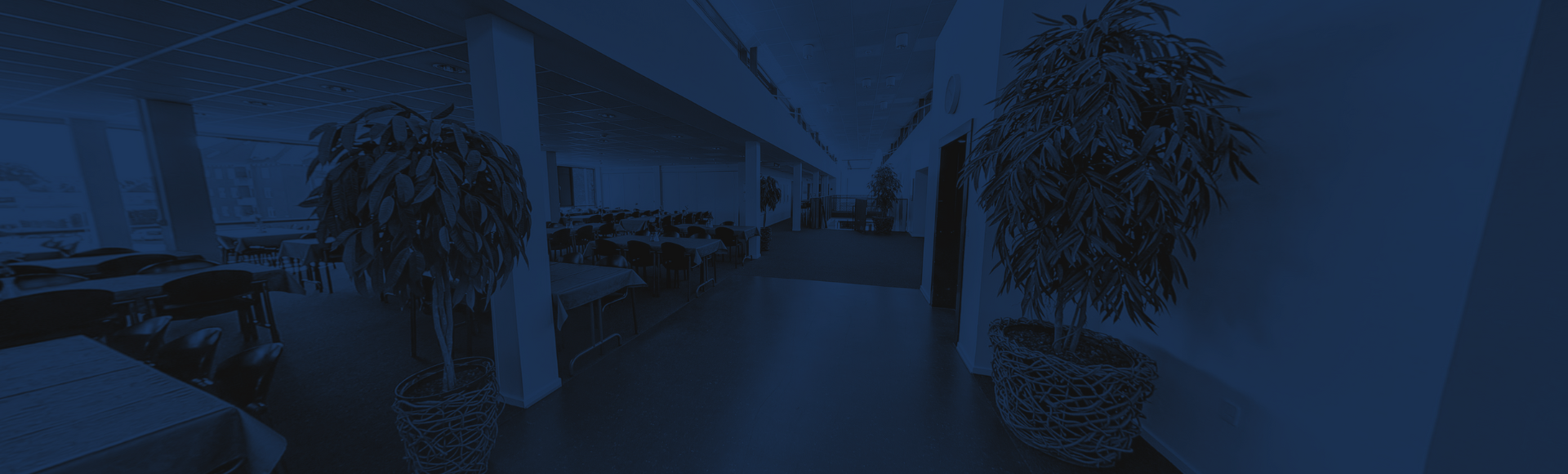 Banner Block Google Maps